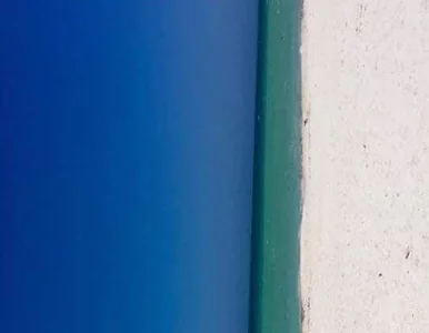 Miniatura: Nowa zagadka podzieliła internautów. Co...