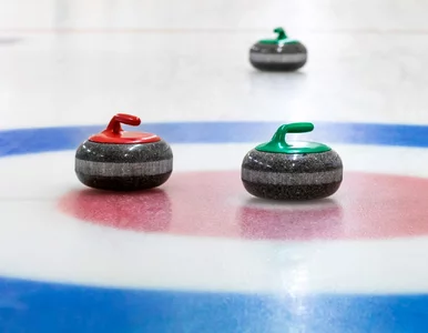 Miniatura: QUIZ wiedzy ogólnej prawda/fałsz....