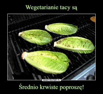 Memy związane z wegetarianizmem 