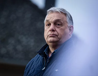 Miniatura: Materiały wybuchowe przy gazociągu Balkan...