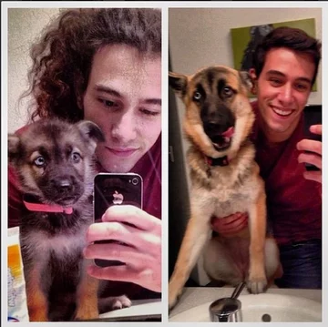 Właściciele pokazują jak urosły ich zwierzęta 