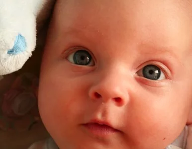 Miniatura: "To ja byłam w ciąży?". Poród zaskoczył...