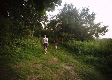 Spacer z psami w pasie granicznym zakończył się mandatami 