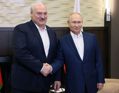 Miniatura: Łukaszenka spotkał się z Putinem. Padły...