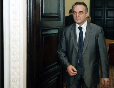 Miniatura: Pawlak: trzeba ujawnić kto zarobi na opcjach