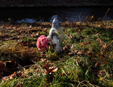 Miniatura: Wstrząsające zabójstwo 11-latki. Ekspert...