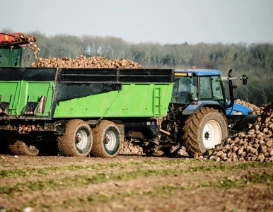 Miniatura: Rosja kradnie Ukrainie nie tylko zboże....