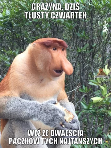 Memy na Tłusty Czwartek 
