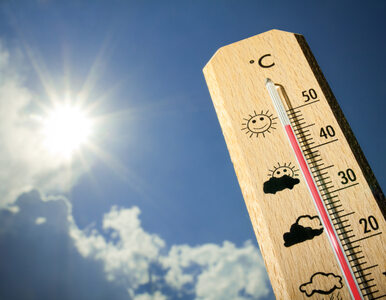 Miniatura: Piątek pogodny i ciepły. Termometry pokażą...