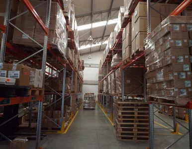 Miniatura: Znana firma ogranicza produkcję. Powodem...