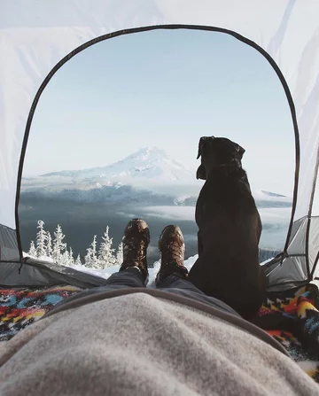 Przezroczysty namiot wpisujący się w trend „transparent camping” 
