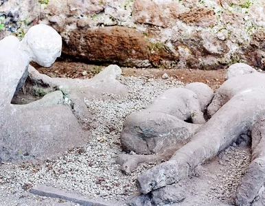 Miniatura: Niesamowite odkrycie w słynnym mieście....