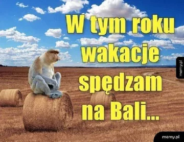 Memy na koniec roku szkolnego 