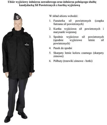 fot. MON/Polska-Zbrojna.pl