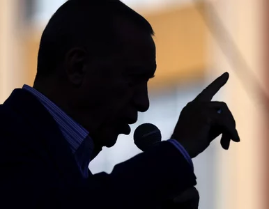 Miniatura: Erdogan będzie zwlekał. „Chce, by świat z...