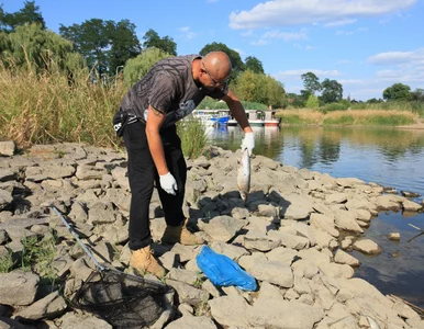 Miniatura: Jest rtęć w Odrze czy nie? Chaos...