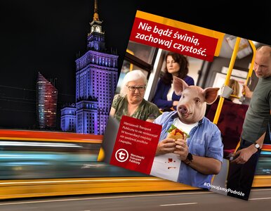 Miniatura: Człowiek z głową świni, pismo na biurku...