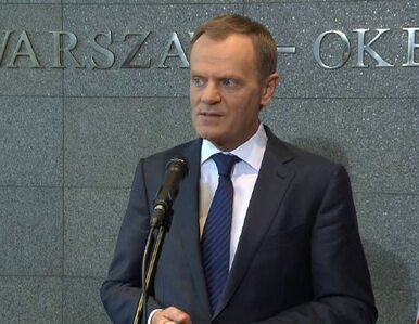 Miniatura: Tusk: Ukraińskie embargo na polskie mięso?...