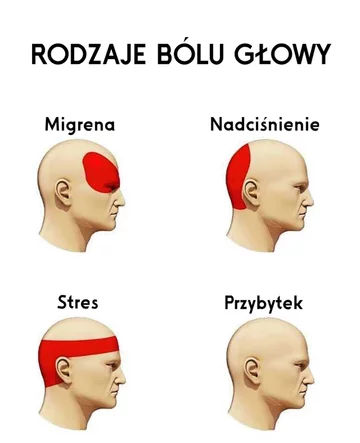 Od przybytku głowa nie boli 