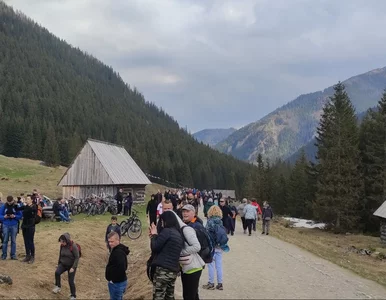 Miniatura: Grupa Kurdów znaleziona w Tatrach. Kobieta...