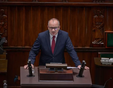 Miniatura: Adam Bodnar przedstawił w Sejmie dane...