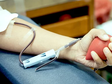 Miniatura: Krwiodawcy stracą dzień wolny od pracy?...