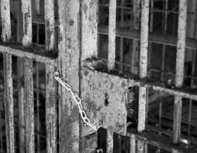 Miniatura: W Portugali więźniowie odbywają karę...