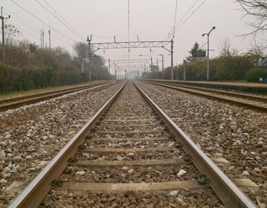 Miniatura: Za miesiąc na tory wyjadą Pendolino. "To...