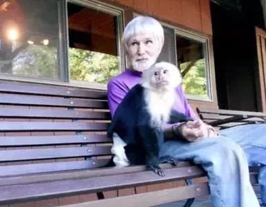 Miniatura: Zwierzęta upodabniają się do właścicieli?...