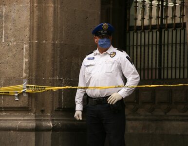 Miniatura: W Meksyku znaleziono 45 worków z ludzkimi...