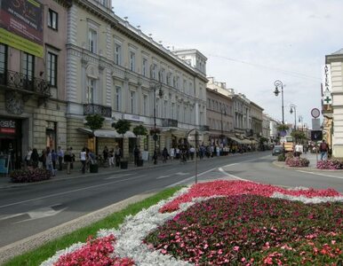 Miniatura: Nowy Świat najdroższą ulicą w Polsce