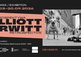 Miniatura: Psy, prezydenci i wielka historia....