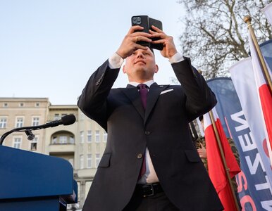 Miniatura: „Niedyskrecje parlamentarne”. „Idealny...