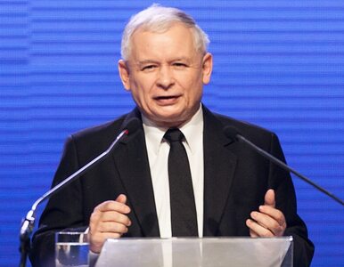 Miniatura: Kaczyński: nie mówmy "hop"