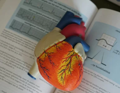 Miniatura: Prościutki quiz z anatomii człowieka....
