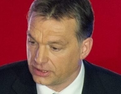 Miniatura: Węgrzy zaskoczeni. "Dlaczego Orban...