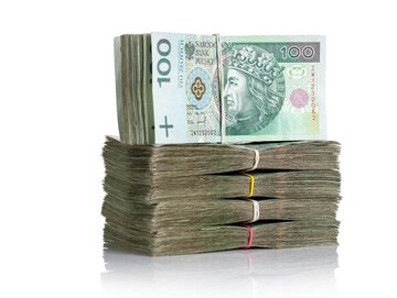 Pracownicze Plany Kapitałowe