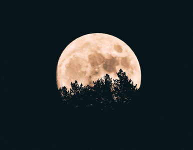 1 października to Międzynarodowa Noc Obserwacji Księżyca. Oto rady NASA