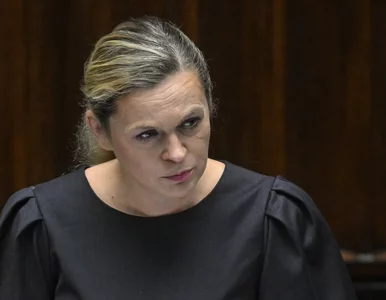 Miniatura: Język ukraiński jako nowy przedmiot w...