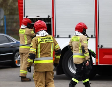 Miniatura: Groźny pożar w Rzeszowie. Nie żyje nastolatka