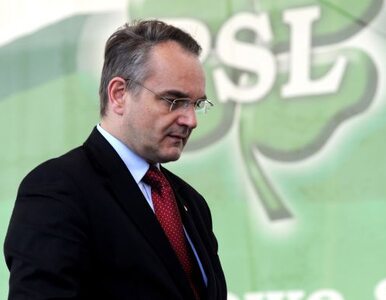 Miniatura: "Sejm po 4 czerwca był pozytywnie...