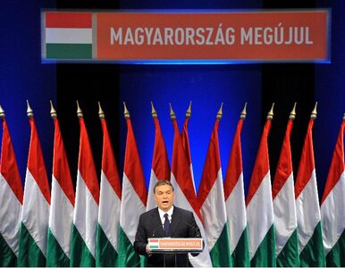 Miniatura: Węgry: Polsce i Litwie należy podziękować