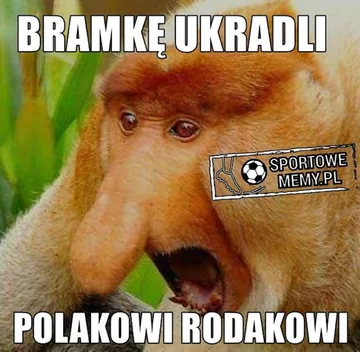 Memy po meczu Polska-Kazachstan 