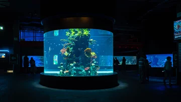 Strefa oceanarium w łódzkim orientarium 