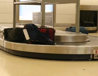 Miniatura: Kolejna fala emigracji Polaków na Zachód?