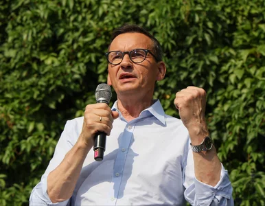 Miniatura: Morawiecki rośnie w siłę? Ten sondaż da...