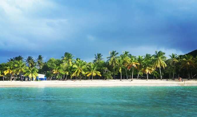 Miniatura: Para mieszkająca na jachcie poszukuje...