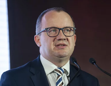 Miniatura: Bodnar: Można mieć wątpliwości, na ile...