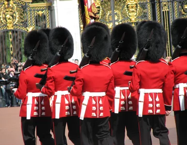 Miniatura: Incydent w trakcie uroczystości z udziałem...