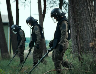 Miniatura: 166 najlepszych miniseriali dostępnych w...